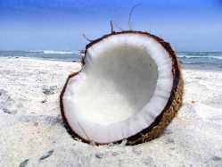 Coconut For Skin
