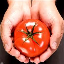 Tomato For Acne
